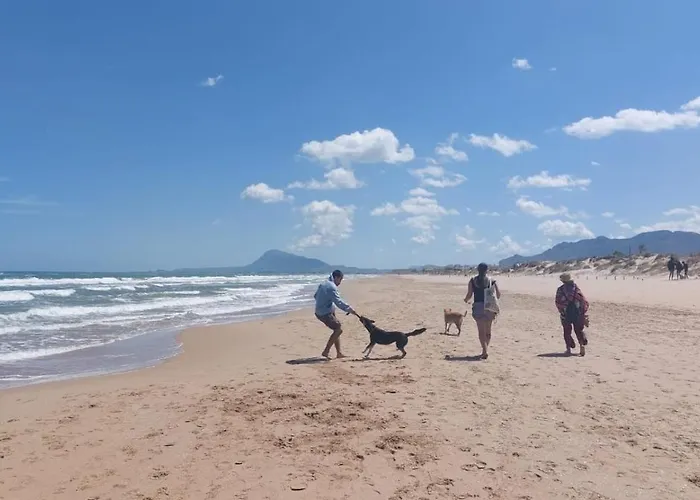 Amanacer Oliva