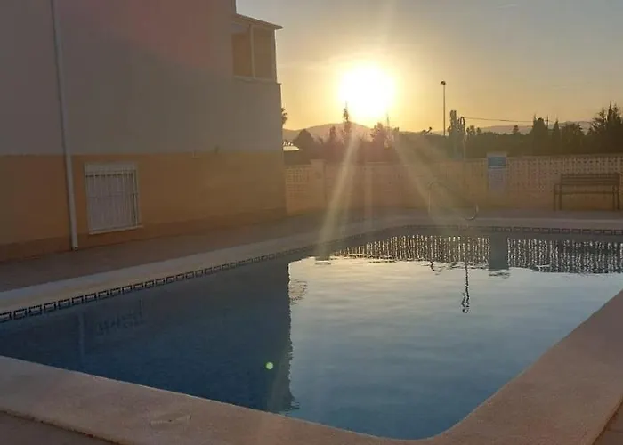 Amanacer Oliva