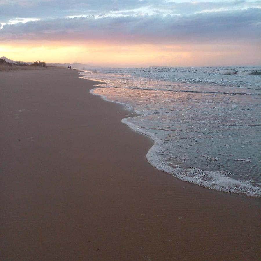 Amanacer Oliva